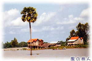 カンボジアの高床式住居の写真