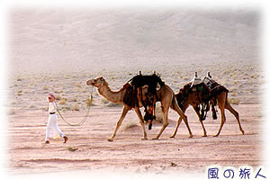 旅の情景スケッチ　ヨルダンのワディ・ラム（赤砂漠）でらくだを引く少年の写真