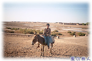 旅の情景スケッチ　ロバと少年（モロッコ）の写真