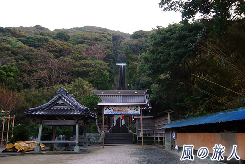 大漁の絵灯籠が設置された鳥居　州崎神社　房総半島最南端初日の出ツーリング12'