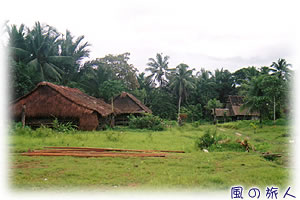ジャングルにある村