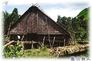 ジャングルにある原住民の家