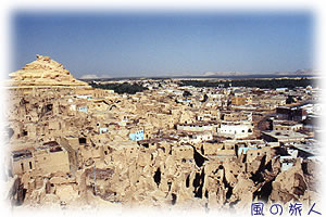 エジプトのシーワオアシスの写真