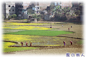 旅の情景スケッチ　ネパールの農村の写真