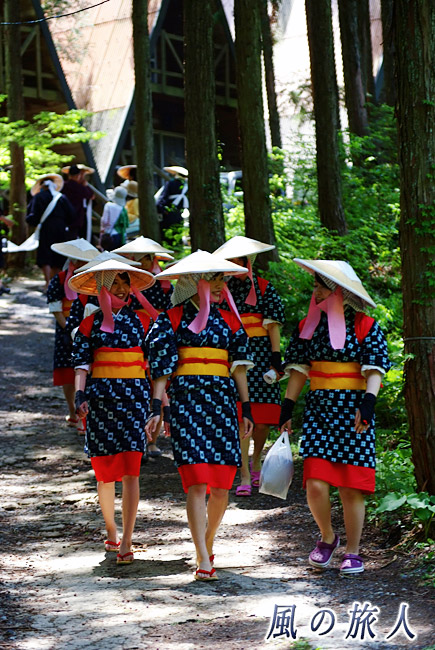 木々の中を歩く早乙女さん　新庄のはやし田2015年の写真