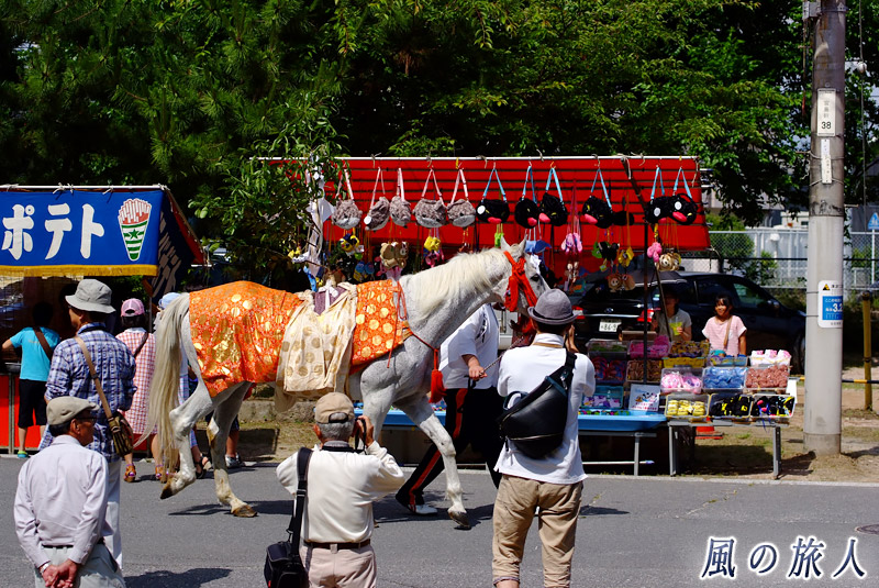 神馬の御渡りの儀　御陵衣祭2015年の写真