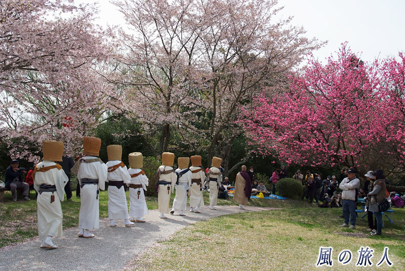桜の道　棲真寺まつり2015年の写真