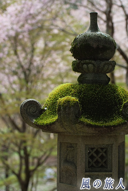 石灯篭のコケ　御調八幡宮春季例祭2015年の写真