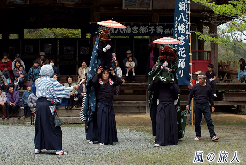 傘の舞い　御調八幡宮春季例祭2015年の写真