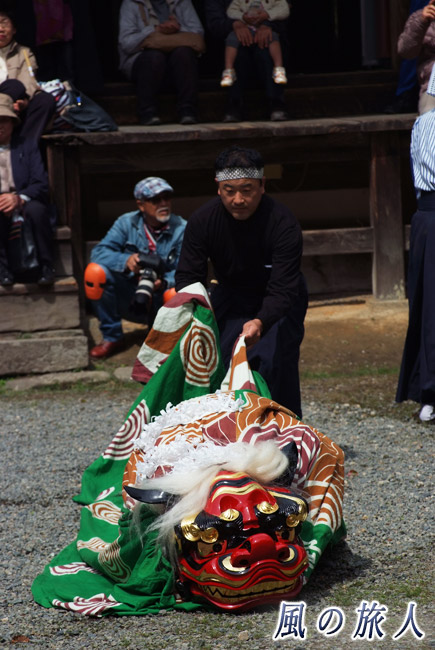地面へ　御調八幡宮春季例祭2015年の写真