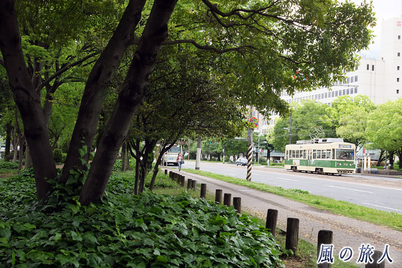 平和大通りの木々と路面電車　緑と夏空の平和大通り2016の写真