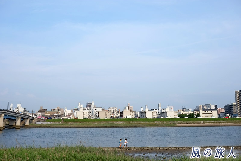 夏の太田川放水路　緑と夏空の平和大通り2016の写真