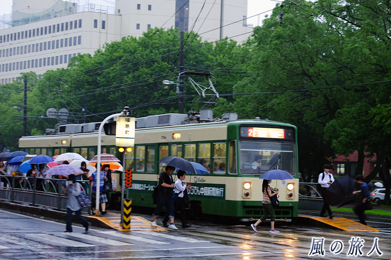 傘であふれる福島町電停　雨の日の平和大通り2016の写真