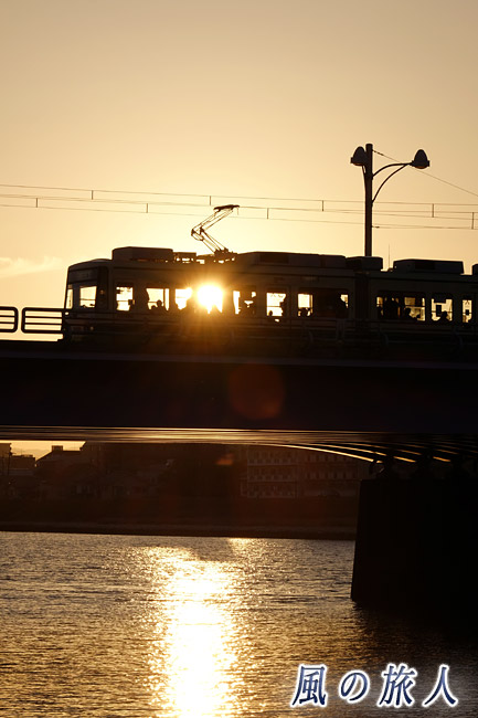 光る電車　新己斐橋の夕景2017の写真