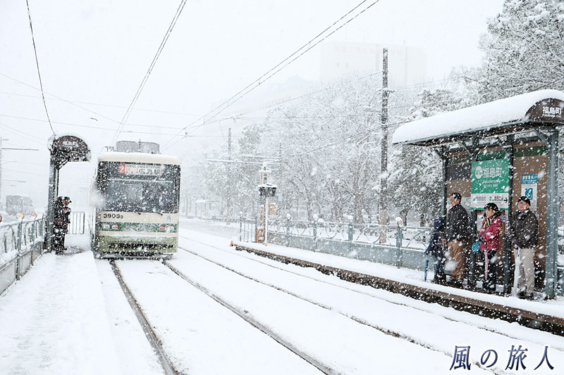 雪の福島町電停　大雪の日2017の写真