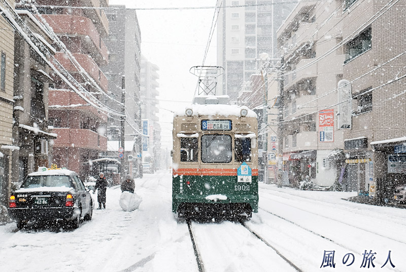 路面電車と雪だるま　大雪の日2017の写真