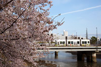 桜の時期の横川駅と新横川橋のサムネイル