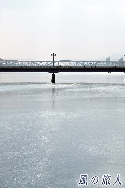 光り輝く川面と新己斐橋　駅伝の日の新己斐橋の写真