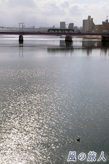 水鳥と電車　雪の舞う新己斐橋の写真