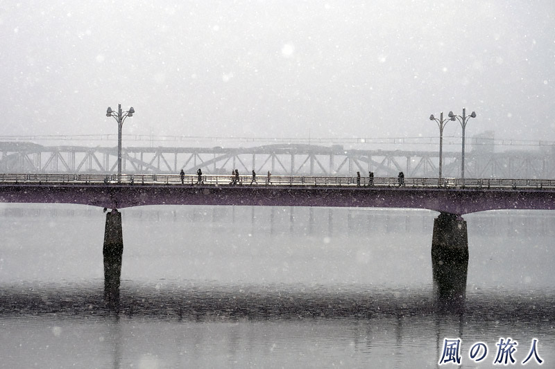 スポットライト　雪の舞う新己斐橋の写真