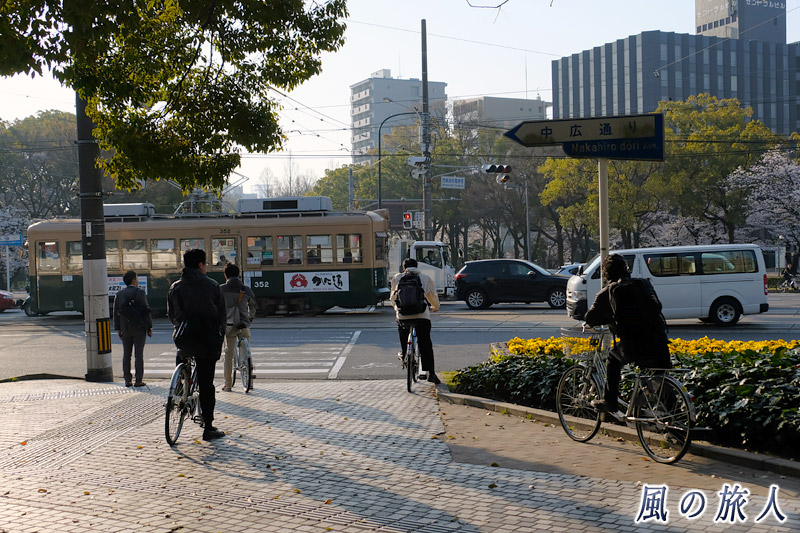 信号待ち１　桜の時期の平和大通りの写真