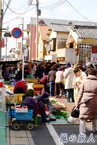 かつうらビッグひな祭り　勝浦の朝市の写真