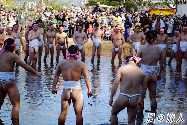 裸衆の結集　和良比はだか祭りの写真