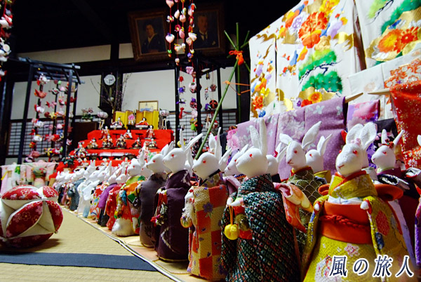 スロータウン常陸太田ひなめぐり　立川醤油店のウサギたちの写真