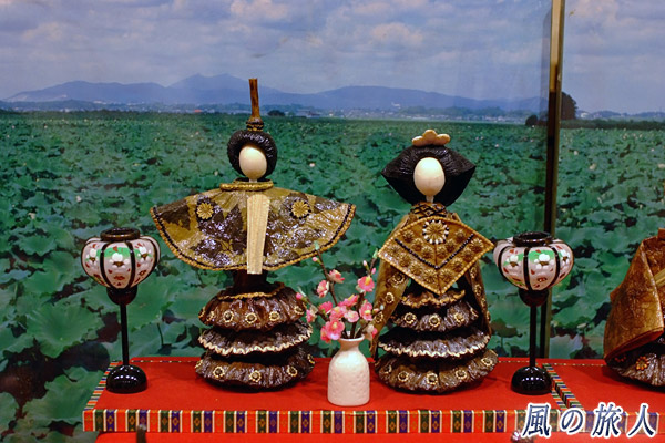 霞蓮雛人形の展示　土浦の雛まつりの写真