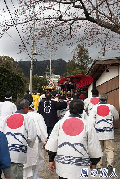 坂を進む神輿　筑波山神社春季御座替祭の写真