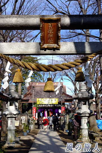 日枝神社 丸子山王日枝神社のびしゃ祭の写真