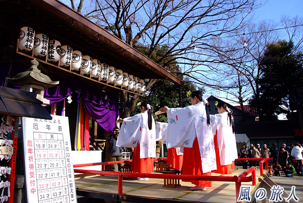 浦安の舞　丸子山王日枝神社のびしゃ祭の写真