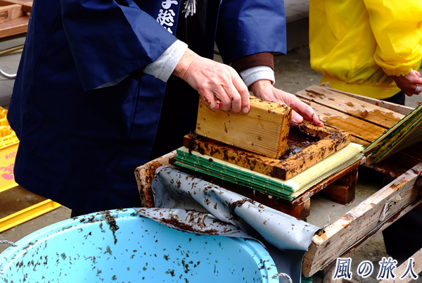 海苔を流し込む　厳島神社例祭・海苔祭の写真