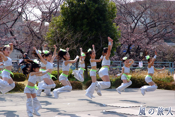 キッズダンス　二ヶ領せせらぎ館　多摩川桜のコンサートの写真