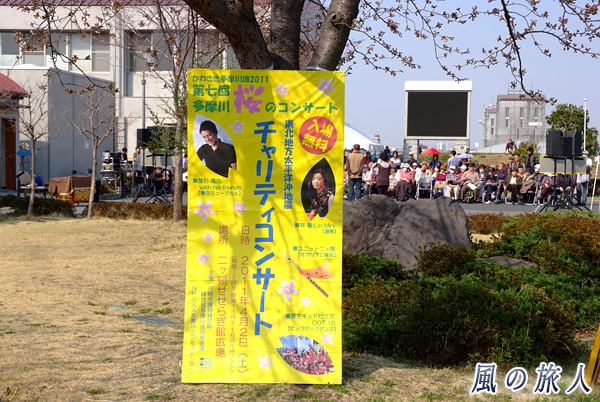 イベントの告知　二ヶ領せせらぎ館　多摩川桜のコンサートの写真