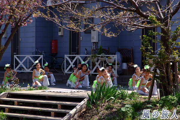 キッズダンスチーム　平瀬川桜祭りの写真