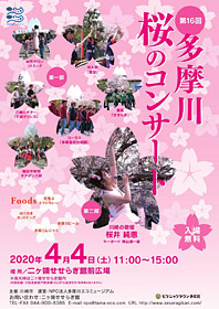 多摩川 桜のコンサートのパンフレット