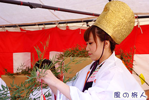 平塚三嶋神社の新春えびすまつりの写真