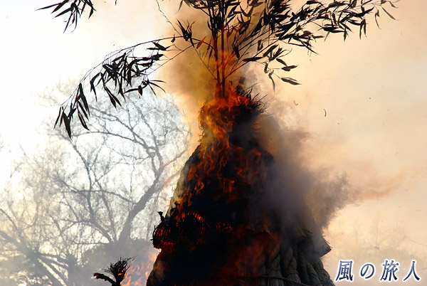 サイトが燃える様子　鶴岡八幡宮の左義長神事の写真