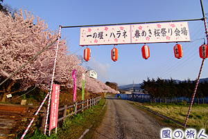 一の堰ハラネ桜まつりの写真