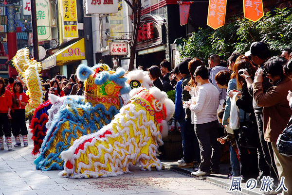 獅子舞　横浜中華街媽祖祭の写真