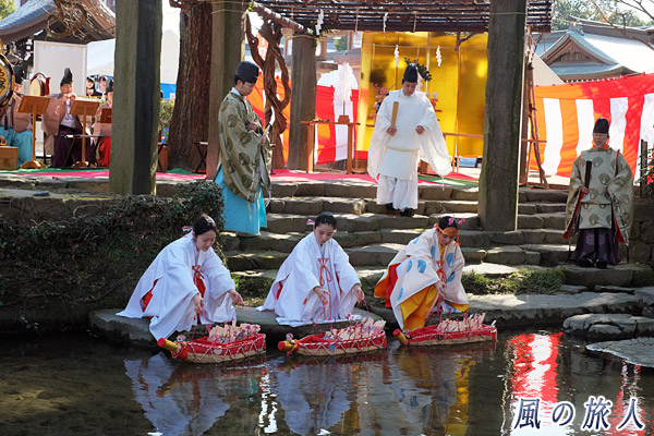 佐嘉神社の流し雛神事　着水の写真