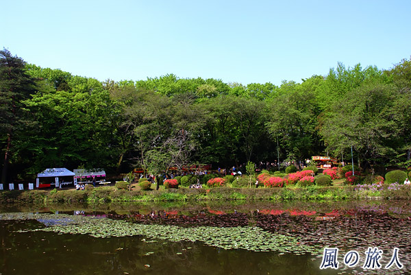 人形のまち岩槻　流しびな　会場の岩槻城址公園菖蒲池の写真