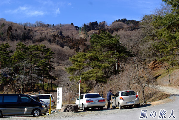 駐車場から眺める　宝登山の蝋梅の写真