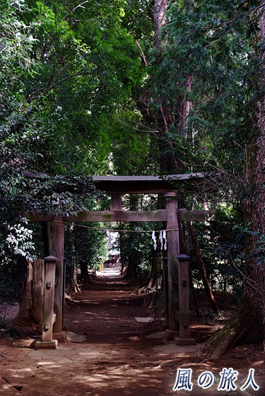 尾崎神社の参道　芳地戸のふせぎの写真