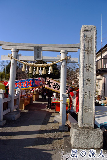 梅宮神社の参道　梅宮神社 甘酒祭りの写真