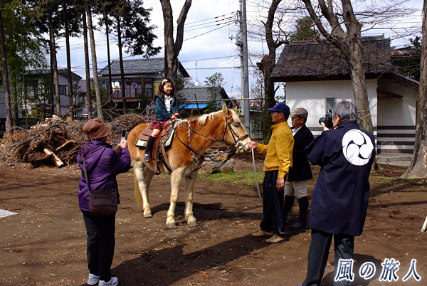 乗馬体験　白岡八幡神社春の例大祭の写真