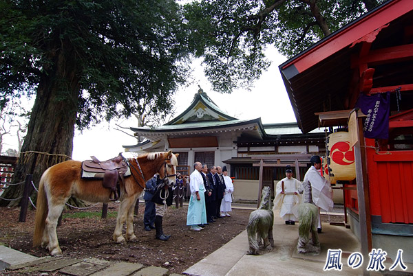 神馬社での駒寄祭　白岡八幡神社春の例大祭の写真
