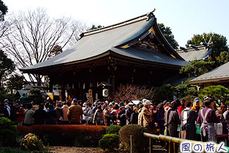 喜多見氷川神社の節分祭の写真