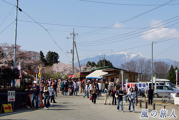 実相寺周辺と八ヶ岳　神代桜祭り（山高神代桜）の写真